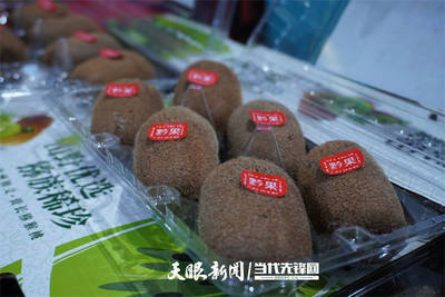 2021修文猕猴桃预售启动|贵州猕猴桃为什么那么好吃?