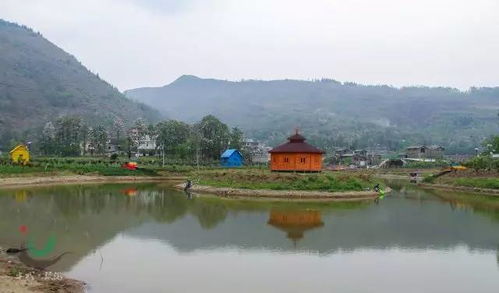 六盘水首家玫瑰主题庄园 法墨玫瑰庄园