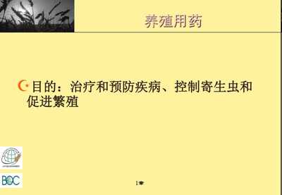 食品安全、质量管理及相关标准体系培训--食品安全与贸易全球化-免费阅读