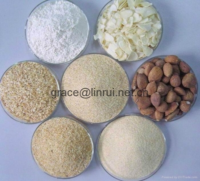 脱水蒜瓣 - LR-DGC-01 - LR (中国 河北省 贸易商) - 蔬菜制品 - 加工食品 产品 「自助贸易」