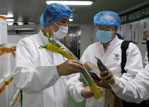 福建省市场监管媒体开放日走进永辉彩食鲜 中央工厂打造全链条食品安全