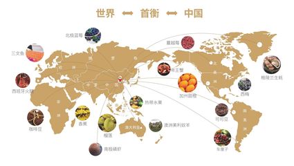 枝叶关情暖民生，首衡城聚贸易兴——孝南区第二届网评大赛东湖评论